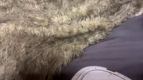 turntpixie online show from 03-07-26, 04:31