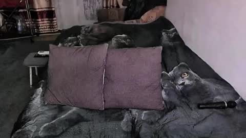 Lana online show from 01-17-26, 09:18