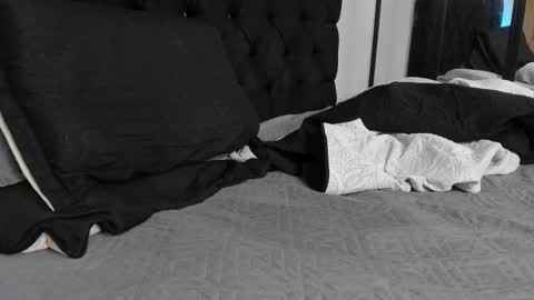 tyler_hank1 online show from 03-06-26, 12:56