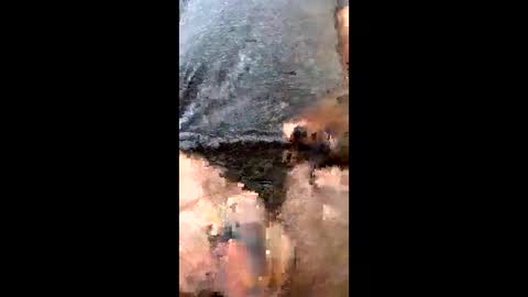 Uramajesty online show from 03-19-26, 12:20