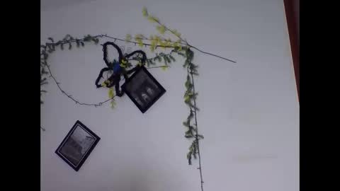 Snapshot of valery_honey_ chatting on 06-02-26, 01:18 valery_honey_ online show from 06-02-26, 01:18