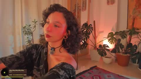      online show from 02-08-26, 12:36