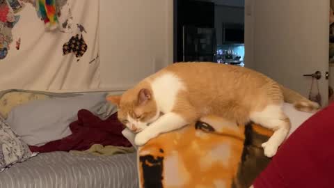 Snapshot of vanessapark chatting on 12-15-25, 02:05 Vanessa online show from 12-15-25, 02:05