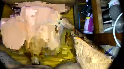 Snapshot of vegujo chatting on 02-07-25, 07:07 vegujo online show from 02-07-25, 07:07