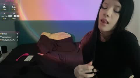 velvet_rose12 online show from 04-05-26, 07:27