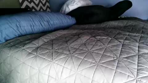 Vexnew online show from 11-02-25, 08:00