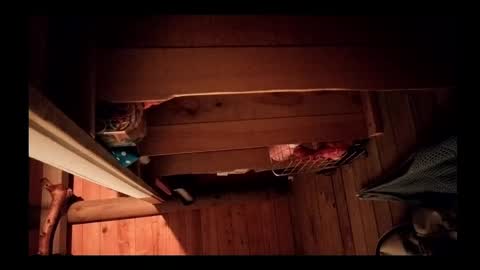 vickyvalencia2 online show from 05-17-26, 05:16