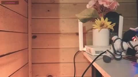 vickyvalencia2 online show from 05-25-26, 03:23