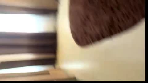 viktoriya_kreyzi online show from 05-31-26, 03:41
