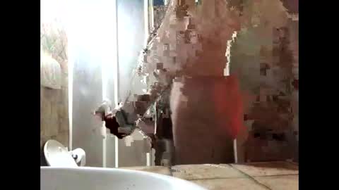 Zenith online show from 03-19-26, 05:39