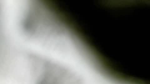 wangi_wangi online show from 02-18-26, 06:48