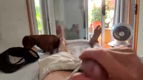 watershed111111 online show from 02-06-26, 11:08