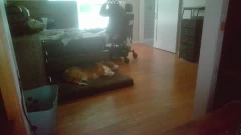 Snapshot of waynecotty chatting on 07-16-26, 04:24 WayneCotty online show from 07-16-26, 04:24