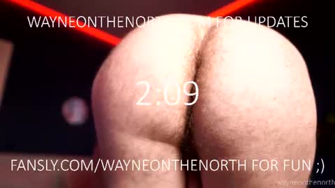 Snapshot of waynenorth chatting on 06-18-26, 02:43 waynenorth online show from 06-18-26, 02:43