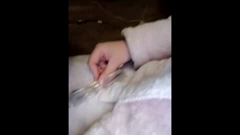 Marina online show from 03-23-26, 10:03