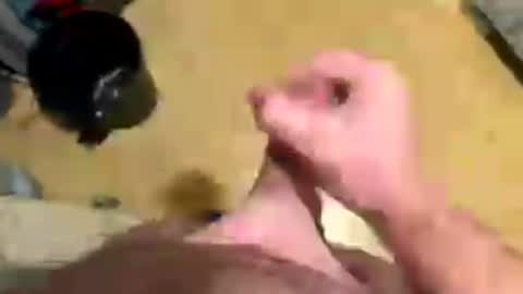 westy157547 online show from 07-11-26, 02:47