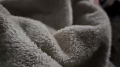 what_whaaat online show from 11-02-25, 09:11