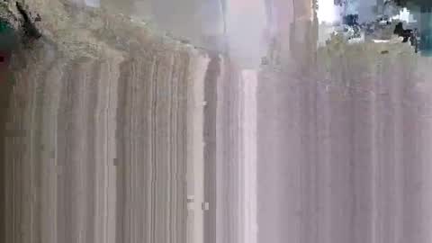 what_whaaat online show from 11-09-25, 06:17