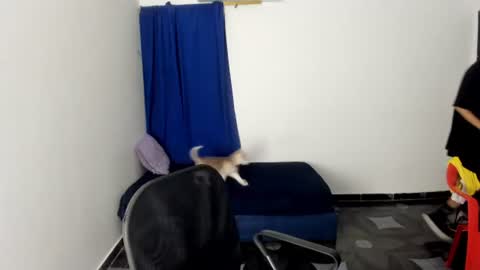 white online show from 07-14-26, 03:55