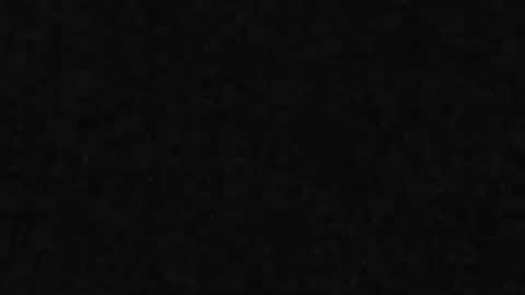 whitehead_lion online show from 03-31-26, 06:52