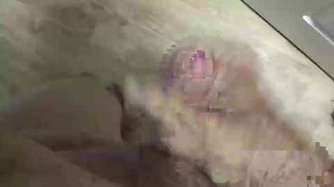 Snapshot of whitelava_4u chatting on 05-30-26, 03:53 whitelava_4u online show from 05-30-26, 03:53
