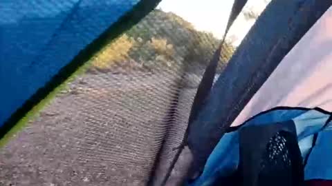 wildernessgoddess online show from 11-14-25, 11:46