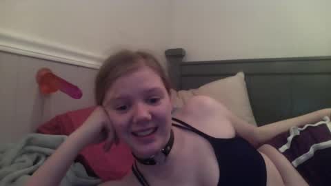 wildflowerofco online show from 01-25-25, 10:50