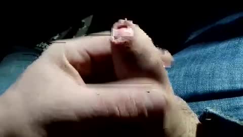 win1987t online show from 12-16-24, 05:27