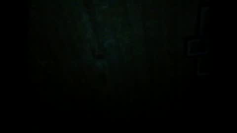 Snapshot of wolfvili chatting on 03-20-26, 06:46 Vili online show from 03-20-26, 06:46