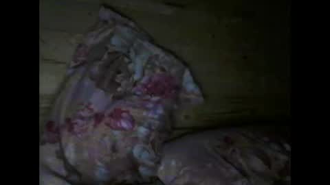 Snapshot of wolfvili chatting on 04-15-26, 06:37 Vili online show from 04-15-26, 06:37