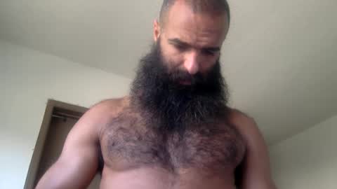 woof_wolf37 online show from 05-19-26, 03:40