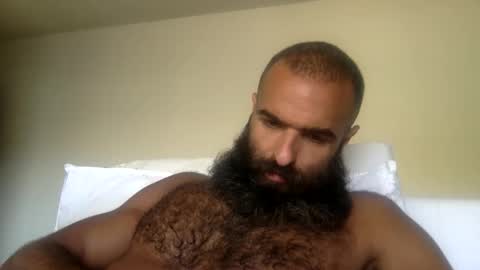 woof_wolf37 online show from 05-31-26, 05:42