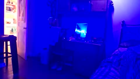 wowsers7 online show from 11-16-25, 01:11