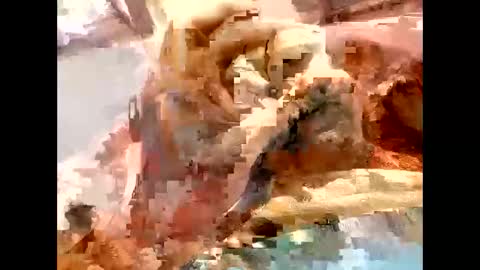 Blk online show from 04-23-26, 04:42