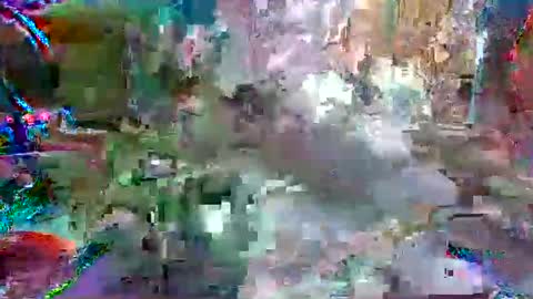 xixo6969 online show from 04-12-26, 10:37