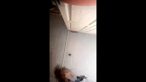 xlwi77 online show from 05-31-26, 10:22