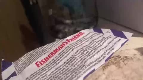 xvoyeur2011x online show from 04-03-26, 07:34