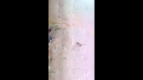 xxjessiebugxx online show from 05-13-26, 03:26