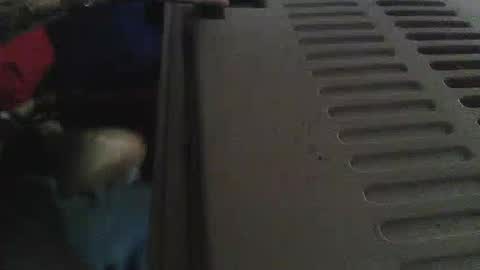 Sean online show from 05-16-26, 03:00