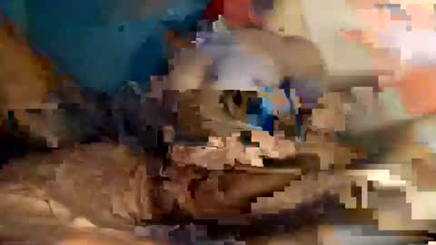 xxxdarknagician81 online show from 09-21-25, 03:13