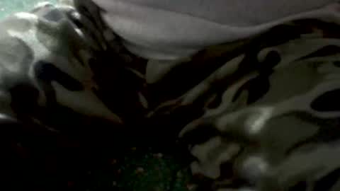 Snapshot of yankee85 chatting on 02-01-26, 05:28 Yankee online show from 02-01-26, 05:28