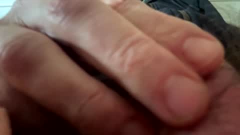 yappe75 online show from 04-21-26, 11:16