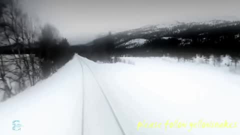.     y e l l o w s n a k e s       . online show from 05-15-26, 06:48
