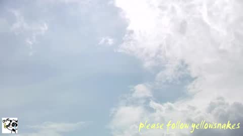Snapshot of yellowsnakes chatting on 06-04-26, 05:02 . y e l l o w s n a k e s . online show from 06-04-26, 05:02