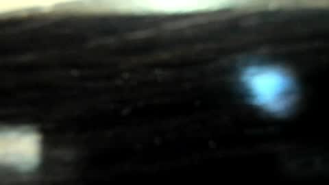 yoonhee_ki online show from 04-05-26, 02:47