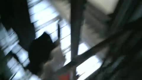 yourpersonalgeniusl online show from 12-15-24, 10:47