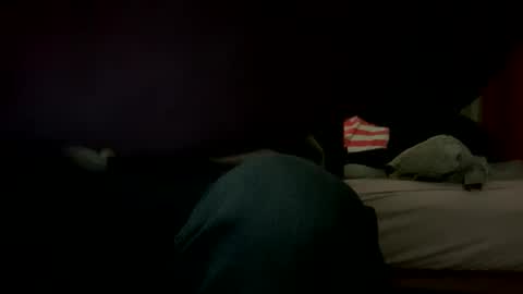 Big loads online show from 01-12-25, 06:27