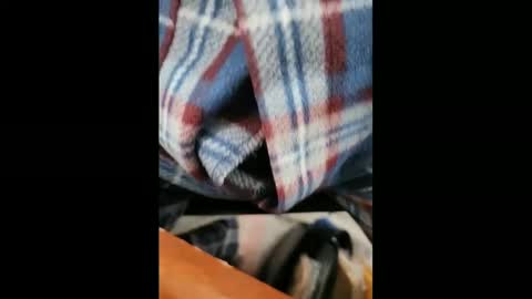 yuppers1234 online show from 02-05-25, 06:37