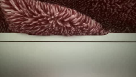 z95141 online show from 10-22-25, 03:56