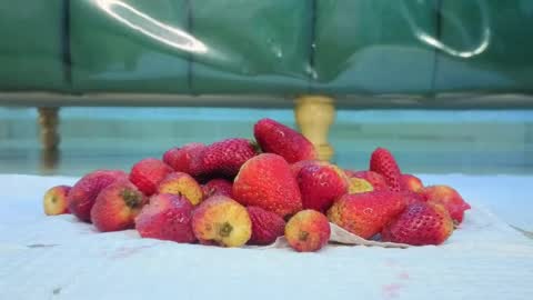 Isabella online show from 03-31-26, 12:49